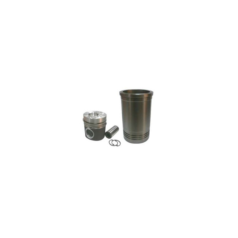 Cylinder Liner Kit (with piston & rings)