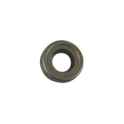 oil seal