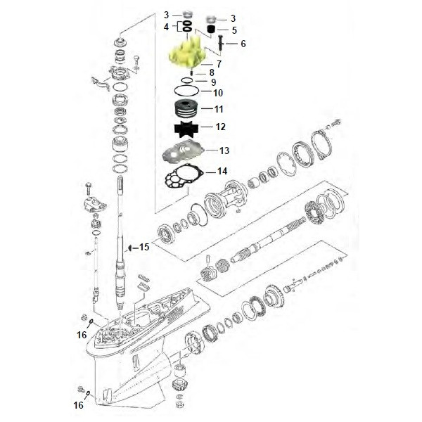 V6 F225 - F250 - F300