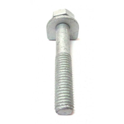 Bolt, with Washer