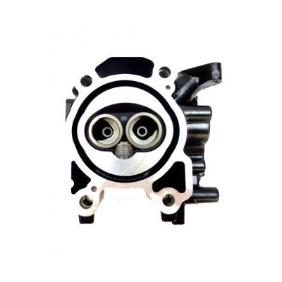 Cylinder Head Assy