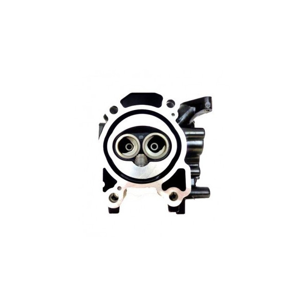 Cylinder Head Assy