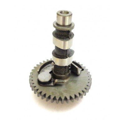 Camshaft Assy