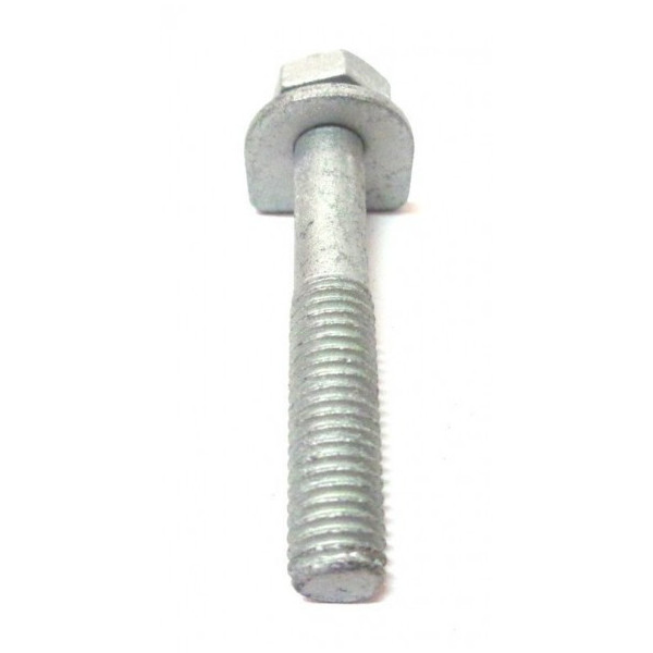 Bolt with Washer