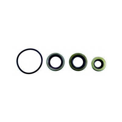 Oil Seal Set