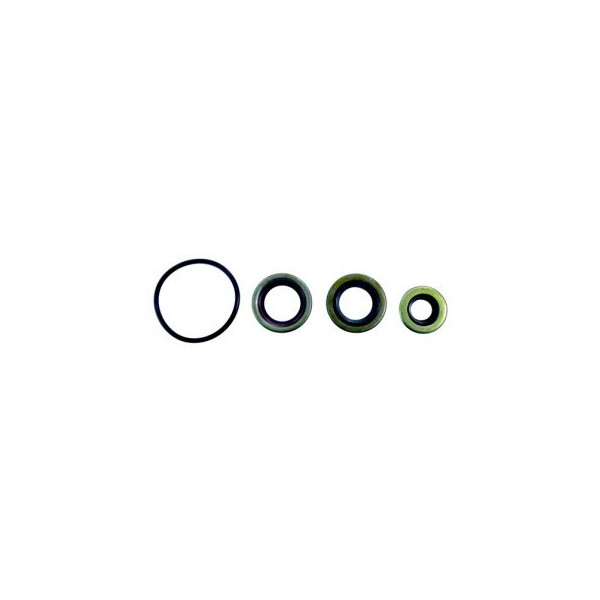 Oil Seal Set