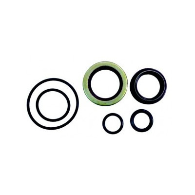 Oil Seal Set