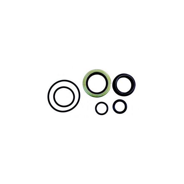 Oil Seal Set