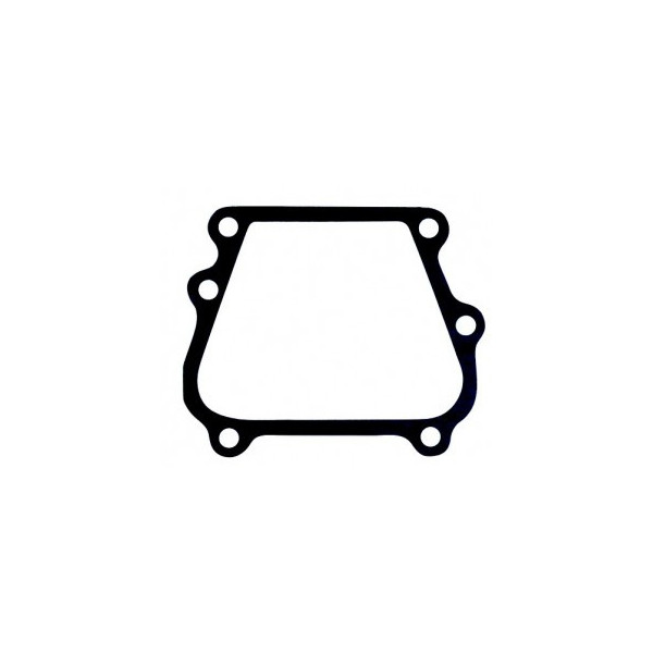 Engine - Powerhead Transfer Port Gasket