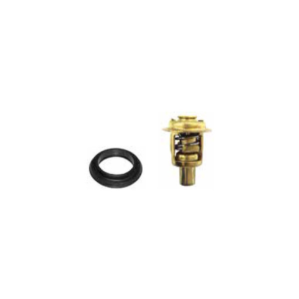 Thermostat Kit