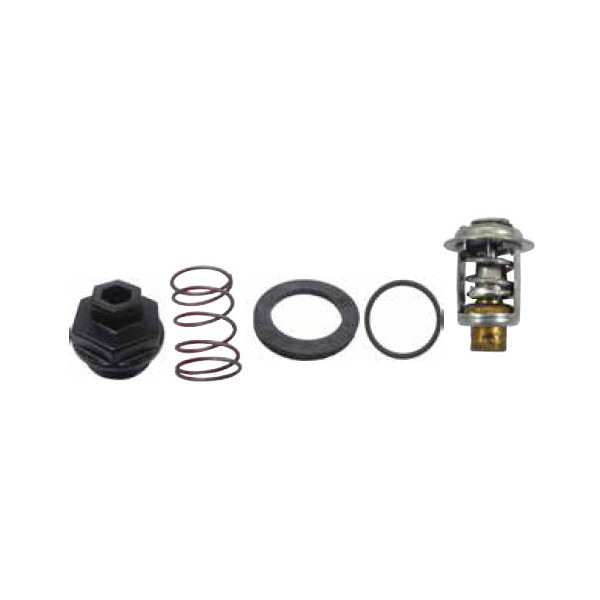 Thermostat Kit