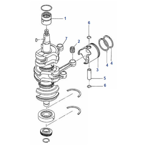 40HP LIGHTNING / XR / MXL MARATHON (INTER.) 50HP MH