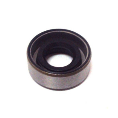 Oil Seal