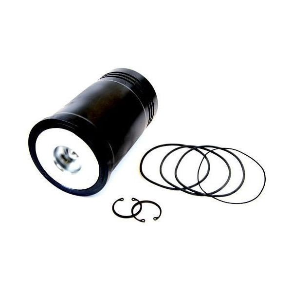 Cylinder Liner Kit (Piston, Pin & Rings)