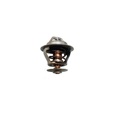 Thermostat  76,5ºC - Replaces: 119593-49550