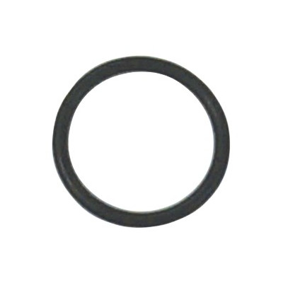 O-Ring for Vent Screw