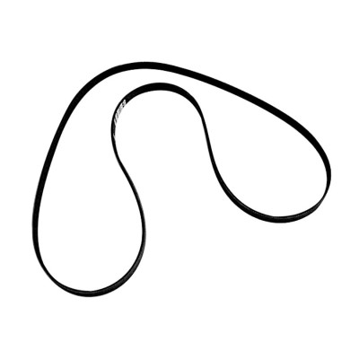 Serpentine Belt