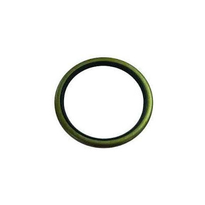 Oil Seal