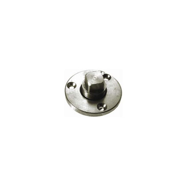 Drain Plug With Socket