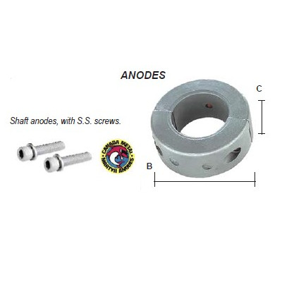 Zinc Anode